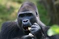 Zoo Schmiding 043